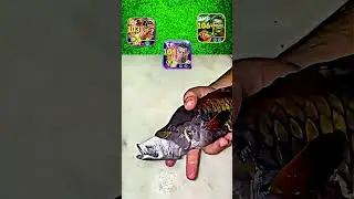 Suuuuuuu Fish Challenge football 2025