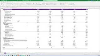Financial Statement Analysis - How to Analyze the Balance Sheet (Common Form)
