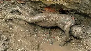 Эта находка может стать самой значимой и долгожданной в 21 веке