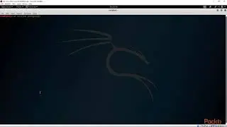 Penetration Testing for Healthcare:  Plain Text Passwords | packtpub.com