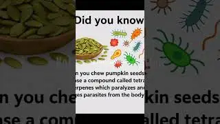 fact about pumpkin seeds #PumpkinSeeds#Pepitas#SeedsOfHealth#EatYourSeeds#SuperSeed#HealthyFats
