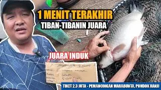 LAPAK POJOK YANG BIKIN DEG-DEG AN, UDAH PASRAH GAK TAUNYA 1 MENIT TERAKHIR NIBAN INDUK PARA JUARA‼️
