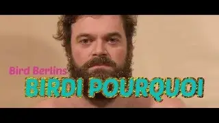 Bird Berlin - Birdi Pourquoi