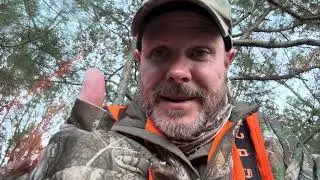 Пятые выходные сезона охоты на оленей &mdash; 15.11.2025 &mdash; Охота на оленей в условиях честной охоты! #в...