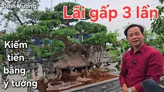 Làm tiểu cảnh xong lãi gấp 3 lần. Kiếm tiền bằng ý tưởng !.