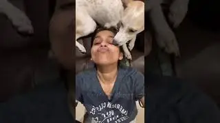 Rashmi Gautham Kissing Her Dog #shorts