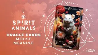 Mouse Spirit Animal | Symbolism & Meaning Explained