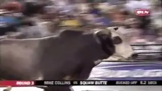 Zorro bucks Edgard Oliveira - 05 PBR Laughlin