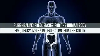 Frequency 176 Hz Regenerative for the Colon