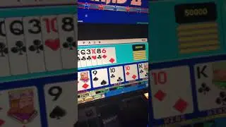 500&euro; gedr&uuml;ckt 😲 American Poker mit 2&euro; Einsatz NOVOLINE