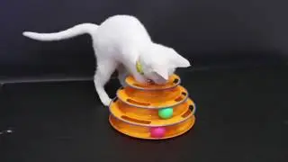 The Funny Tower of Tracks Cat Toy by Shopuy Store