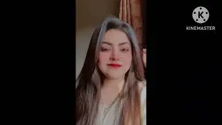 sindhi all funny video