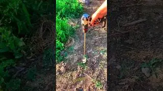 Electric Drill Soil Digger in Action! | Genius Gardening Tool #diytools #viralshorts