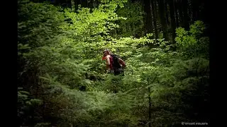 Escapardenne Trail 2017 - CHAT - Aftermovie