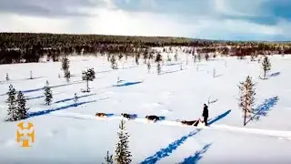 Dog Sledding at the Top of the World&nbsp;| Norway Nomad Stories | World Nomads