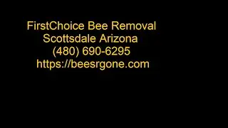 Bee Removal Scottsdale - FirstChoice Bee Control
