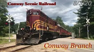 Chasing Along the Conway Branch (8/3/20)