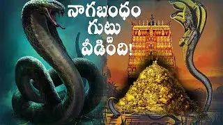 నాగబంధం రహస్యం వీడింది/naga bandham mystery revealed/nagabandham/sarpabandham history in telugu