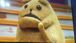 Кот щалтае и собака толстой и гус злой 😠. 