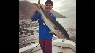 Daiwa Lexa 400 & Phenix M1 82h Vs 25lb Yellowtail