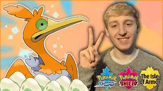 FeintAttacks Chose Today's Stream!! | Pok&eacute;mon Sword and Shield/ Isle of Armor DLC - LIVE