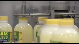 Ovoproductos Guill&eacute;n - Soluciones basadas en huevo