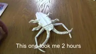 Origami Fun.mp4