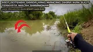 INFO SPOT??! INI DIA SPOT WADER KEPEK SEPUTARAN PURWOREJO!! Mancing wader teknik pelampung