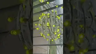 100 bong fi5d8 cầu d20cm