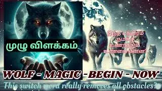 Wolf-Magic-Begin-Now 🐺  Manifest Anything Instantly 💗  Wish full fillment Animal spirit Manthra 🐺