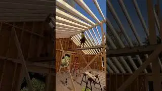 Cathedral ceiling #construction #framing #houseconstruction #woodframing #workflow #howto #shorts ￼