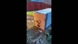 Just the beginning of my bee keeping journey.