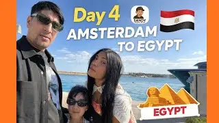 Блог о 4-м дне поездки из Амстердама в Египет: посещение пляжа и знаменитой портовой пристани.