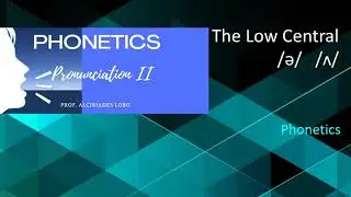 What is the Low Central Vowel Schwa ?