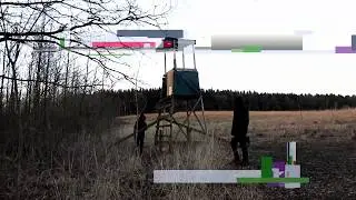 Hunt saboteurs Sweden and Underground badger syndicate hunting tower destroyed