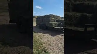 Hauling hay to Lore city ohio. #farming