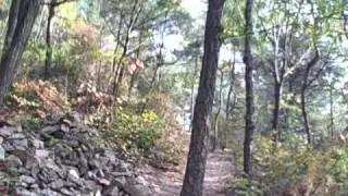 ## Climbing Up Nojeok Hill ##