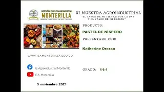 Pastel de Níspero - XI Muestra Agroindustrial IEAM 2021