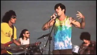 Pe de coco- Me leve HD