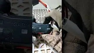 Добавить ошейник т 5 мини на навигатор Гармин Альфа 200