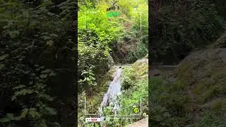 Real Nature Sounds from Northern Iran Forests | 100% Authentic, No AI 🌿