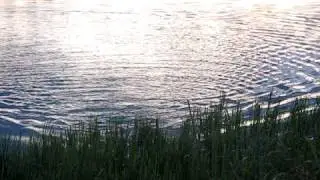 Pardijaht 20_08_09 039.avi