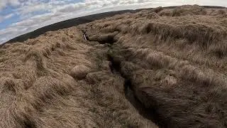 Mink hunting