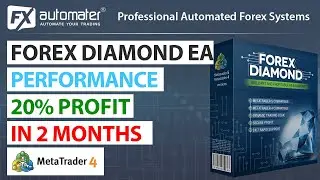 Forex Diamond EA Performance - 20% profit for 2 months