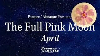 April's Full Pink Moon