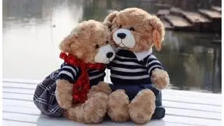 Teddy Day Special Watsapp Status / Teddy Bear Photo / Happy Teddy Day / Valentine Special