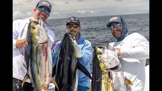 Insane Yellowfin Tuna Topwater Action in the Gulf of Chiriqu&iacute;, Panama with the Yo-Zuri Crew
