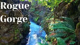 Rogue Gorge