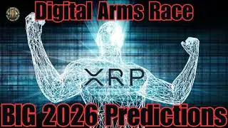 XRP ETFs: Not A Single Day Of Outflows & Ripple RLUSD Growing Quickly