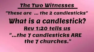 The 2 Witnesses defined by scripture & they are not Moses, Elijah or Enoch